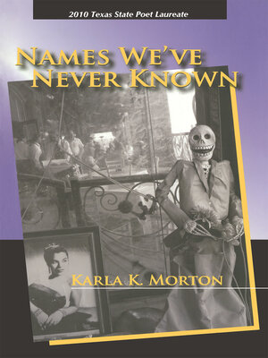 cover image of Names We've Never Known